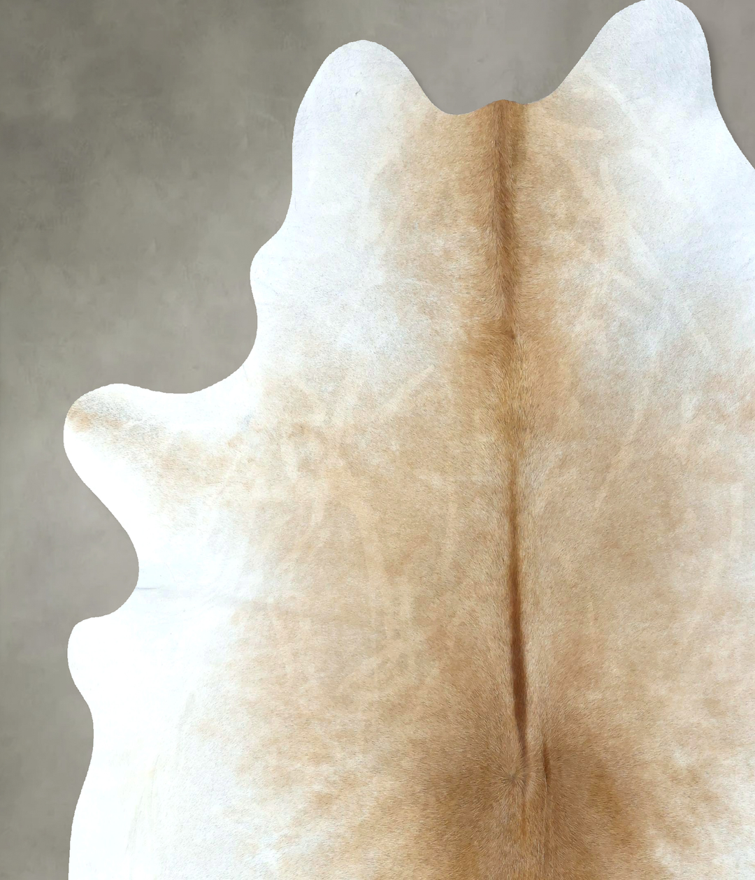 Light Caramel XX-Large Brazilian Cowhide Rug 8'4"H x 7'2"W #B20226 by 