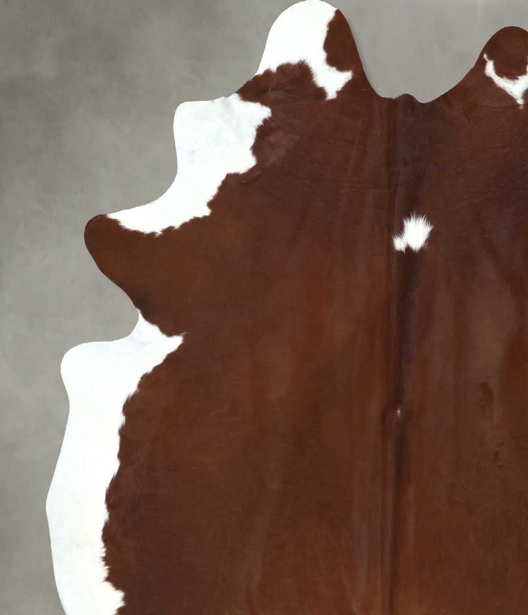 Brown and White Regular XX-Large Brazilian Cowhide Rug 9'0"H x 7'1"W #