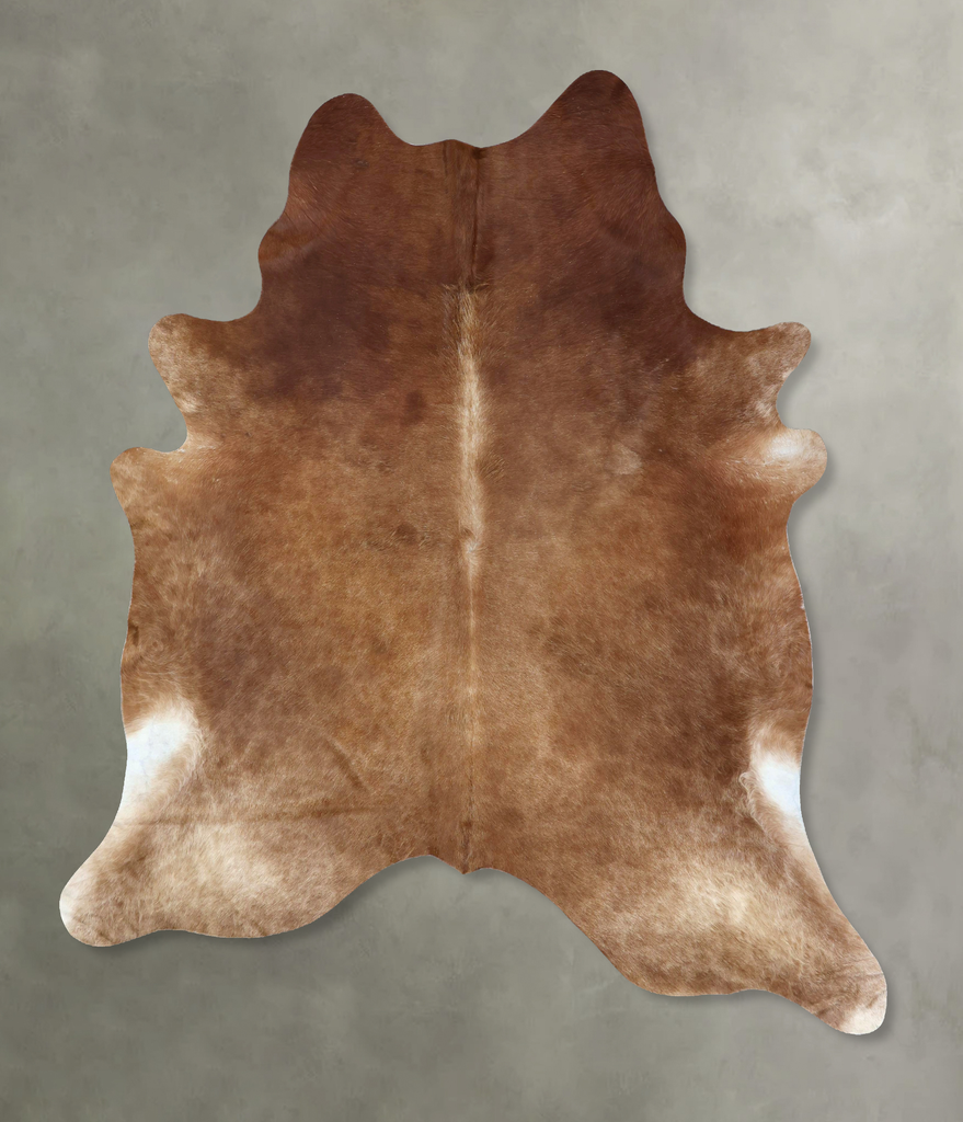 Solid Brown XX-Large Brazilian Cowhide Rug 8'5"H x 7'2"W #B20234 by Hudson Hides