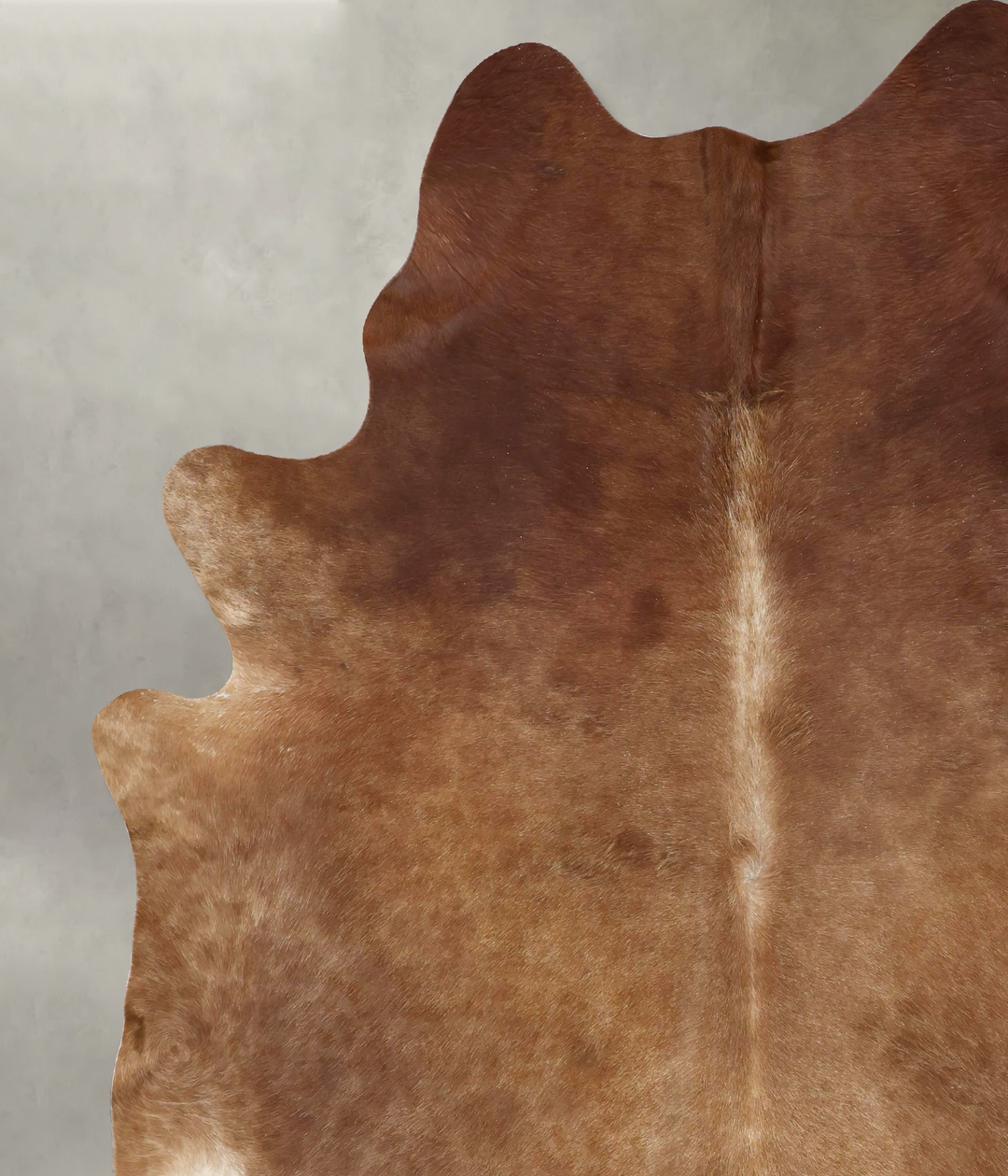 Solid Brown XX-Large Brazilian Cowhide Rug 8'5"H x 7'2"W #B20234 by Hu