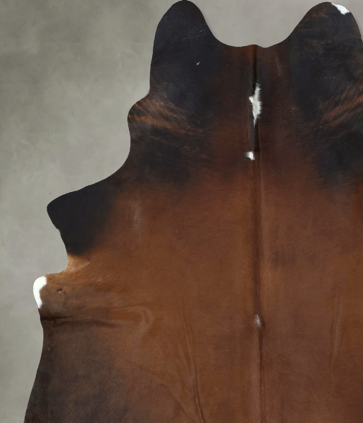 Warm Caramel XX-Large Brazilian Cowhide Rug 8'4"H x 6'8"W #B20239 by Hudson Hides