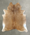 Light Caramel XX-Large Brazilian Cowhide Rug 8'0