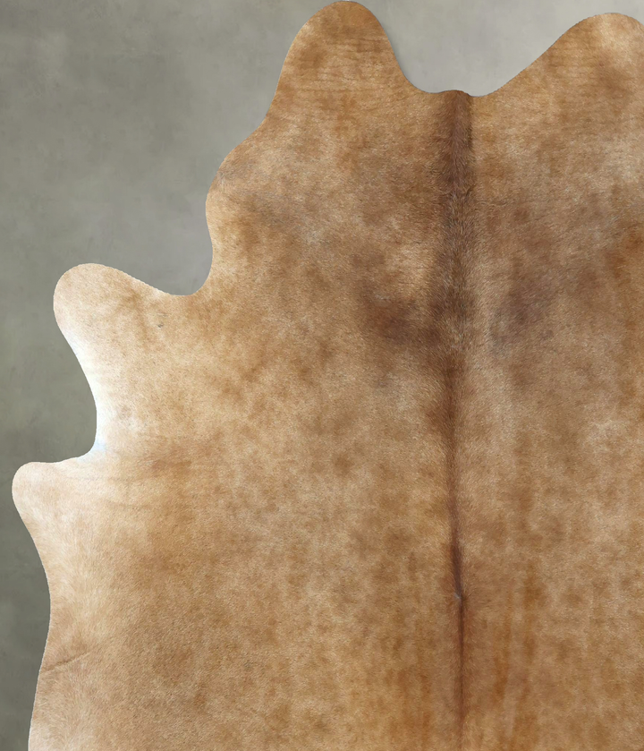 Light Caramel XX-Large Brazilian Cowhide Rug 8'0"H x 6'10"W #B20240 by Hudson Hides