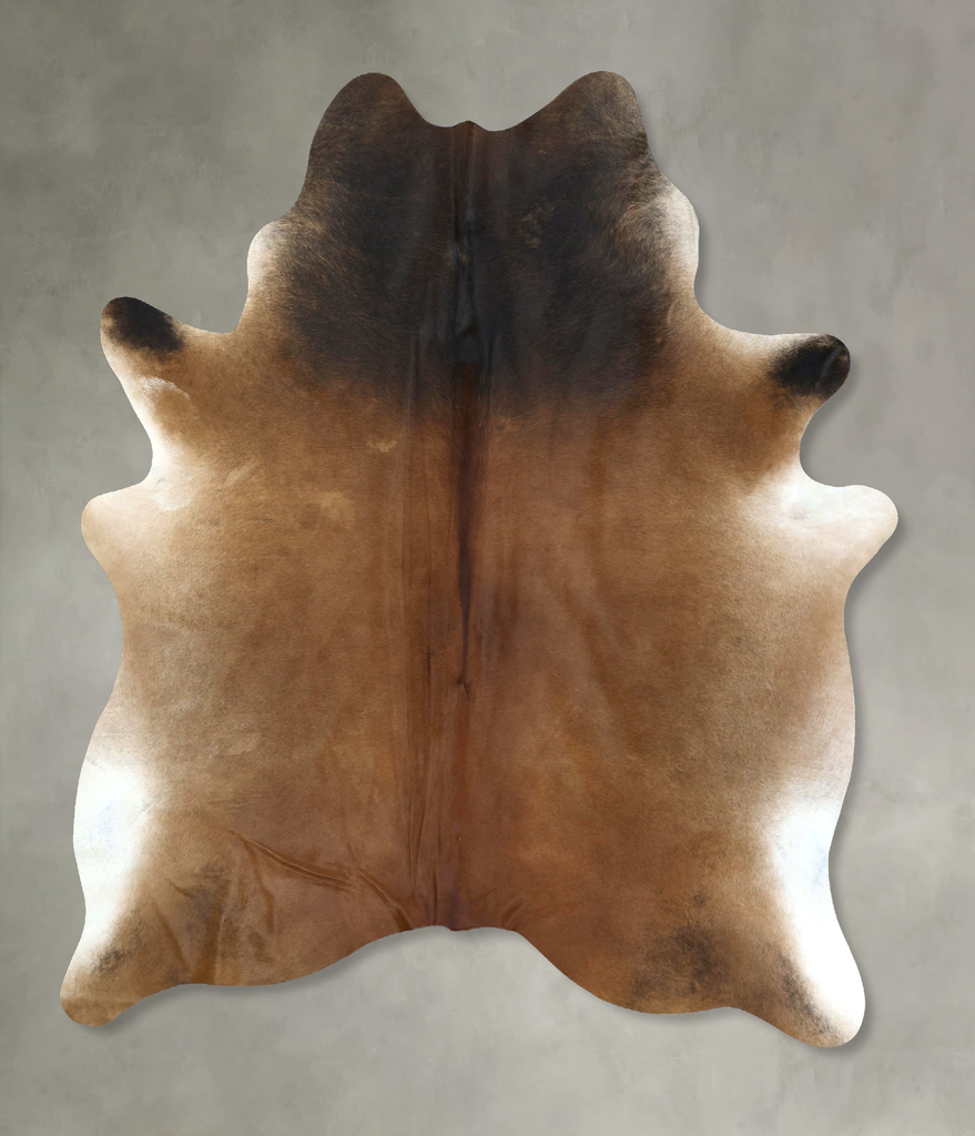 Warm Caramel X-Large Brazilian Cowhide Rug 7'7"H x 6'4"W #B20244 by Hudson Hides