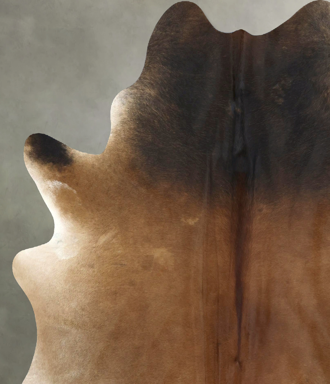 Warm Caramel X-Large Brazilian Cowhide Rug 7'7"H x 6'4"W #B20244 by Hu
