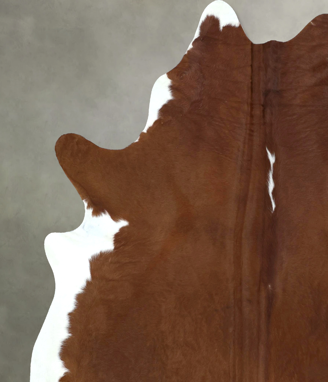 Brown and White Regular XX-Large Brazilian Cowhide Rug 8'0"H x 7'0"W #