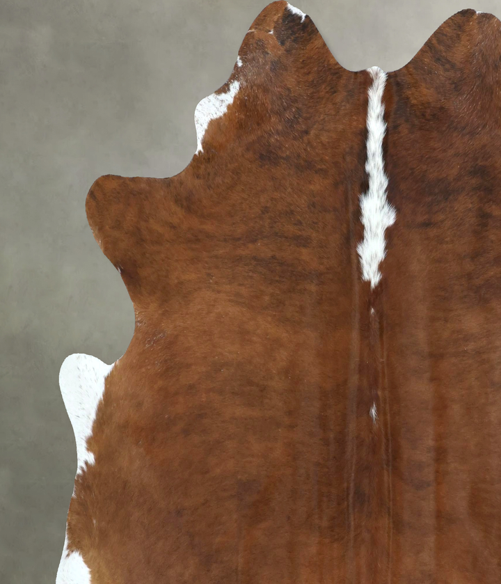 Medium Brindle X-Large Brazilian Cowhide Rug 6'8"H x 6'9"W #B20246 by Hudson Hides