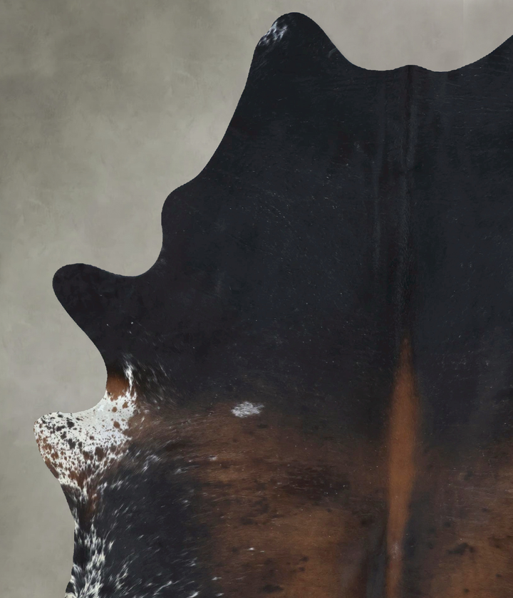Chocolate and White XX-Large Brazilian Cowhide Rug 8'5"H x 6'4"W #B20255 by Hudson Hides