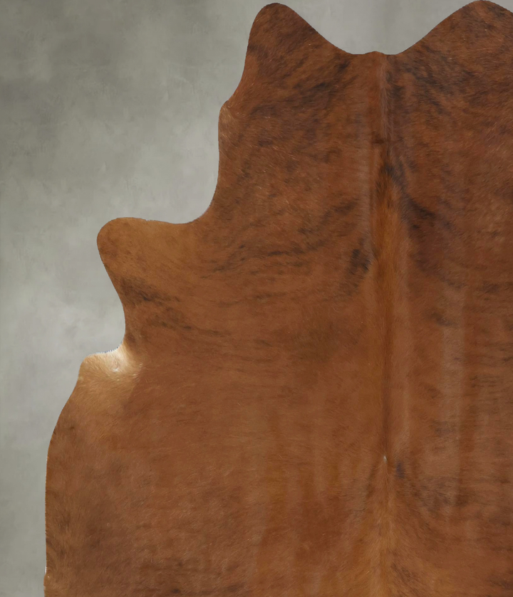 Medium Brindle X-Large Brazilian Cowhide Rug 7'3"H x 6'4"W #B20259 by Hudson Hides