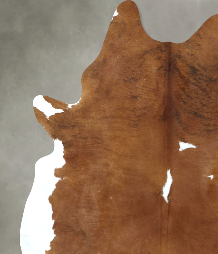 Brown and White XX-Large Brazilian Cowhide Rug 8'10"H x 6'11"W #B20262 by Hudson Hides
