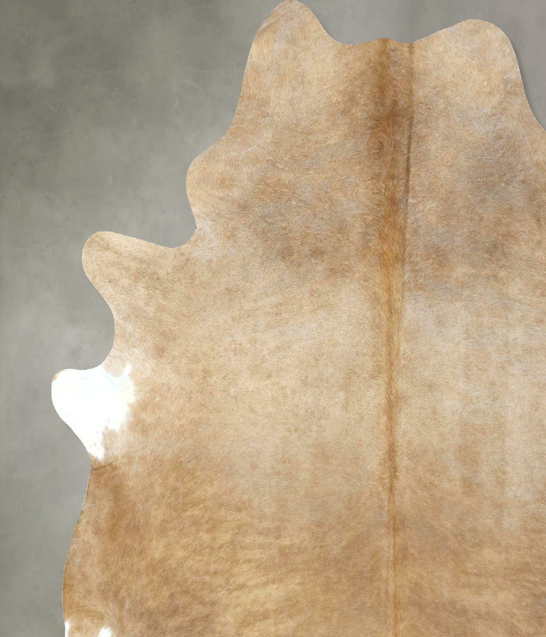 Beige XX-Large Brazilian Cowhide Rug 7'10"H x 7'1"W #B20270 by Hudson 
