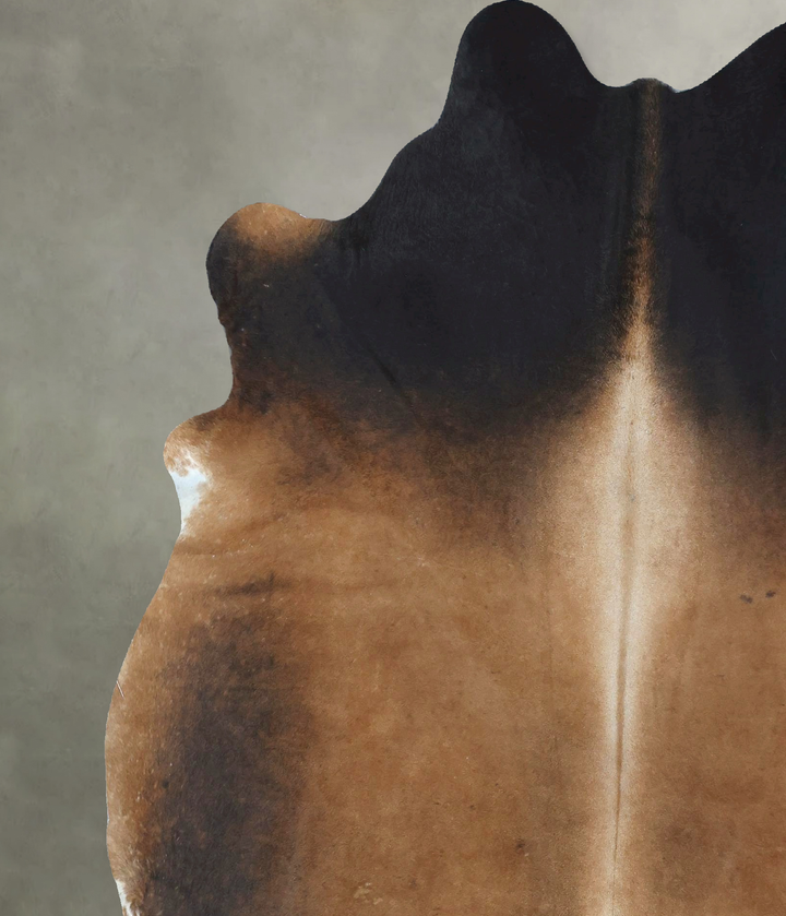 Warm Caramel X-Large Brazilian Cowhide Rug 7'10"H x 6'4"W #B20289 by Hudson Hides