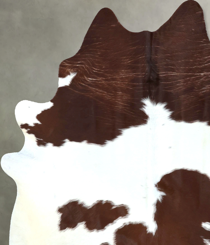 Brown and White X-Large Brazilian Cowhide Rug 7'7"H x 5'11"W #B20292 by Hudson Hides