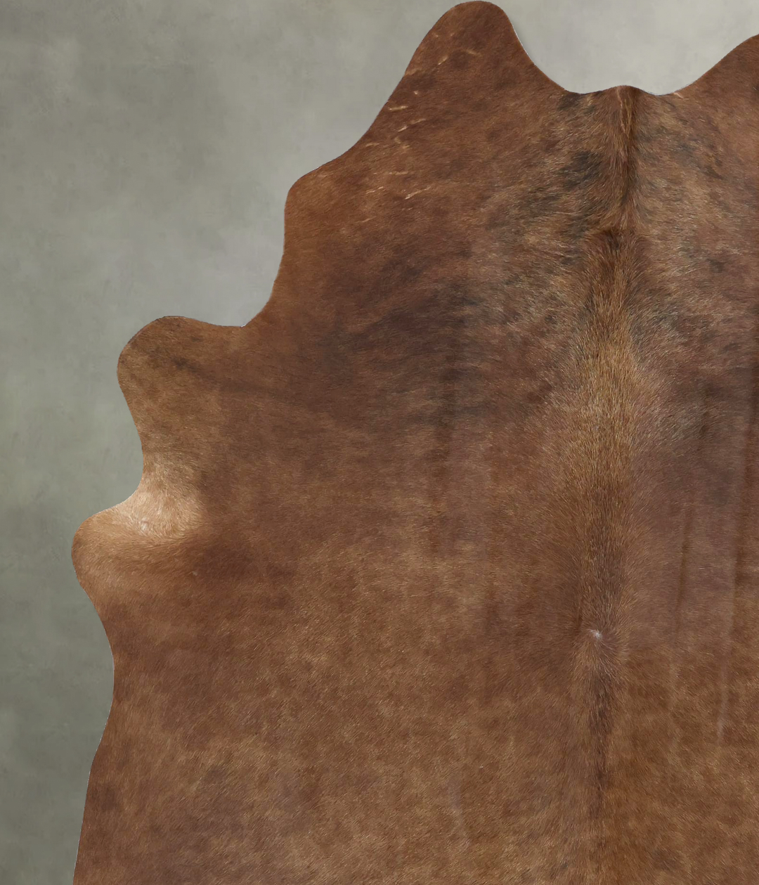 Solid Brown X-Large Brazilian Cowhide Rug 8'0"H x 6'3"W #B20306 by Hud