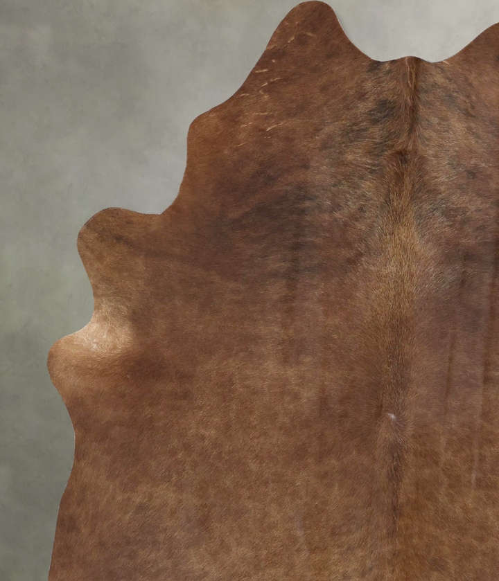 Solid Brown X-Large Brazilian Cowhide Rug 8'0"H x 6'3"W #B20306 by Hudson Hides