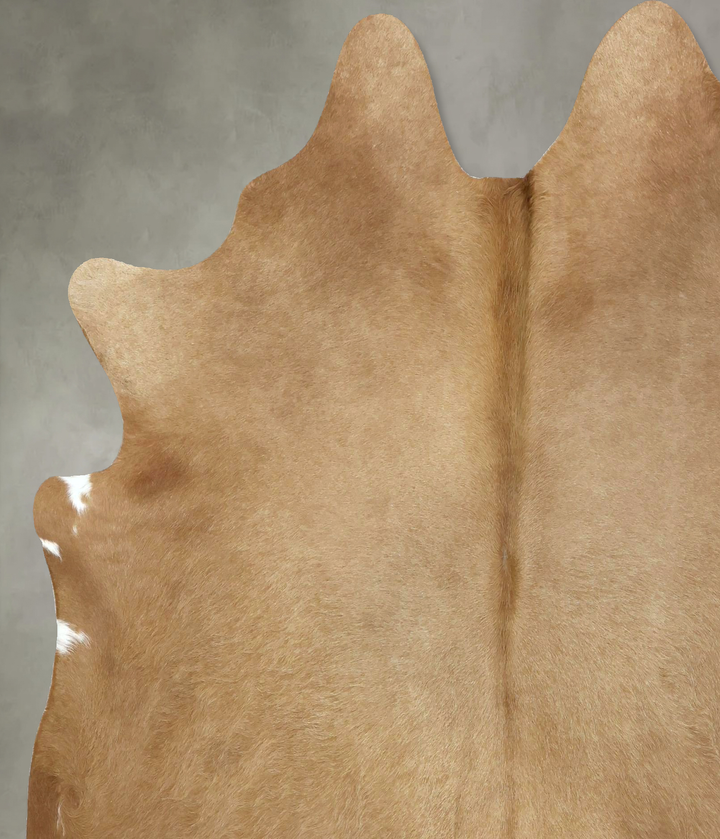 Beige X-Large Brazilian Cowhide Rug 6'10"H x 6'4"W #B20338 by Hudson Hides