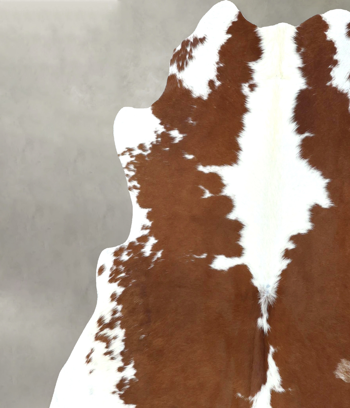 Brown and White XX-Large Brazilian Cowhide Rug 7'4"H x 7'0"W #B20344 by Hudson Hides