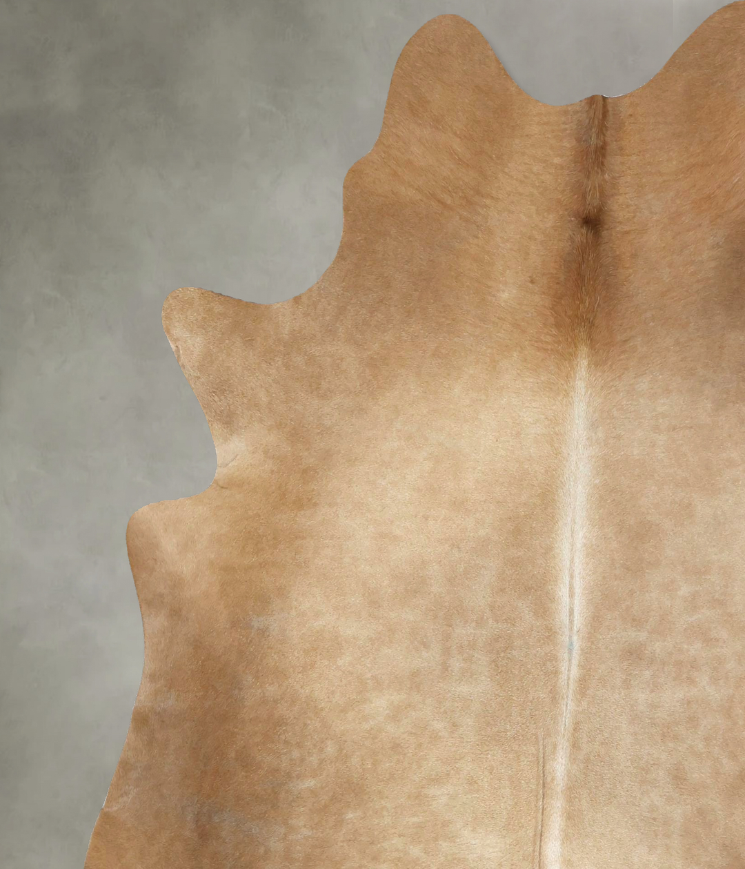 Solid Brown X-Large Brazilian Cowhide Rug 7'1"H x 6'5"W #B20359 by Hud