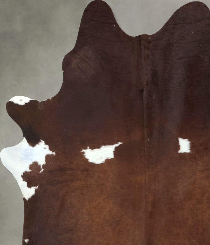 Chocolate and White X-Large Brazilian Cowhide Rug 7'11"H x 6'2"W #B20364 by Hudson Hides