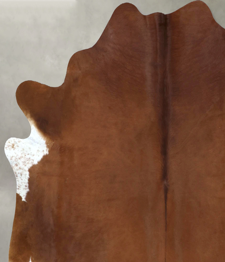 Solid Brown X-Large Brazilian Cowhide Rug 7'3"H x 6'9"W #B20388 by Hudson Hides