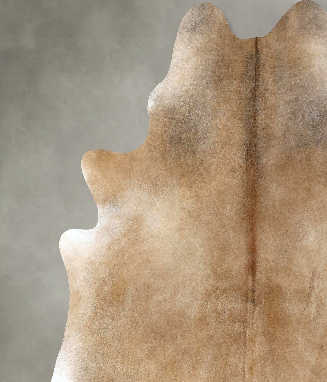 Light Caramel XX-Large Brazilian Cowhide Rug 8'0"H x 7'0"W #B20398 by 