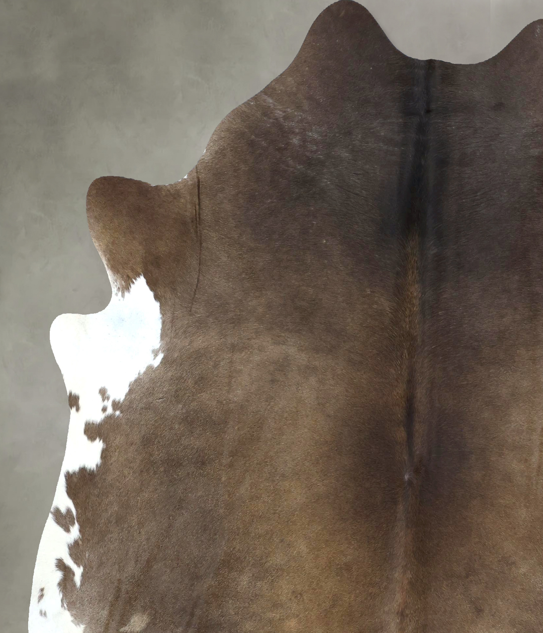 Chocolate and White XX-Large Brazilian Cowhide Rug 7'10"H x 6'6"W #B20