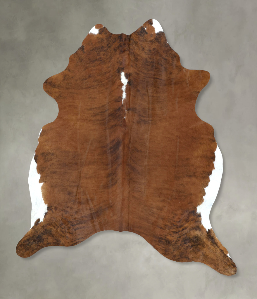 Medium Brindle XX-Large Brazilian Cowhide Rug 8'2"H x 6'8"W #B20412 by Hudson Hides