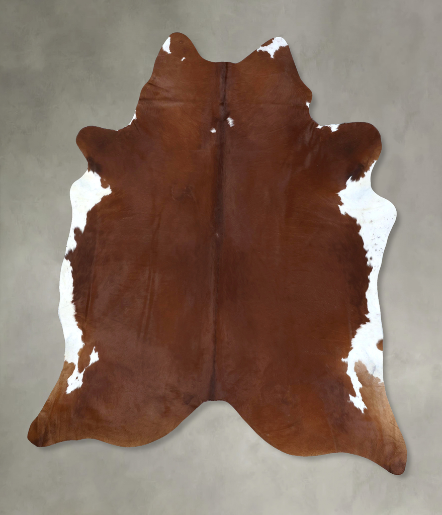 Brown and White Regular XX-Large Brazilian Cowhide Rug 8'9"H x 7'6"W #B20419 by Hudson Hides