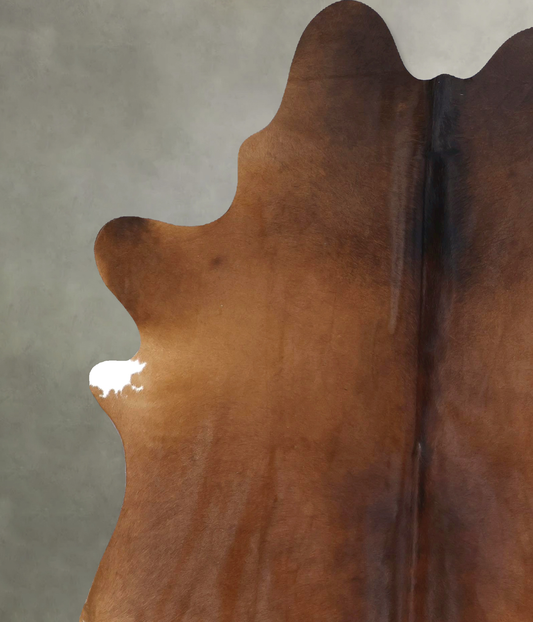 Chocolate X-Large Brazilian Cowhide Rug 8'0"H x 6'3"W #B20421 by Hudso