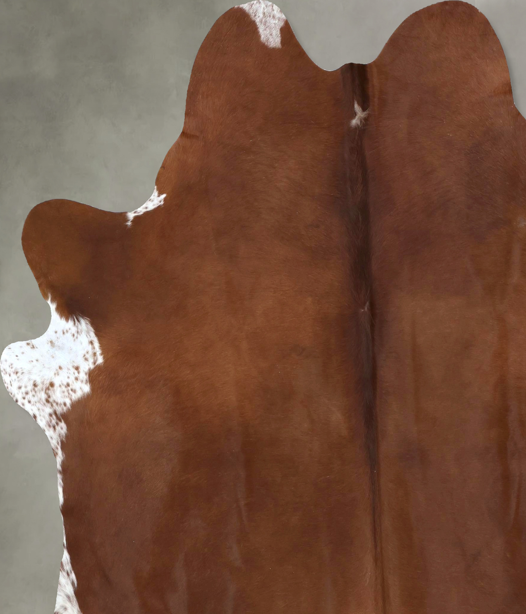 Solid Brown XX-Large Brazilian Cowhide Rug 8'1"H x 6'11"W #B20427 by H