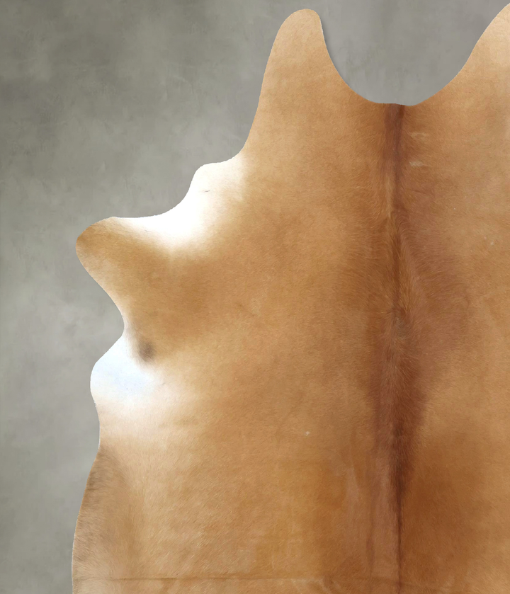 Beige X-Large Brazilian Cowhide Rug 7'5"H x 6'5"W #B20434 by Hudson Hides