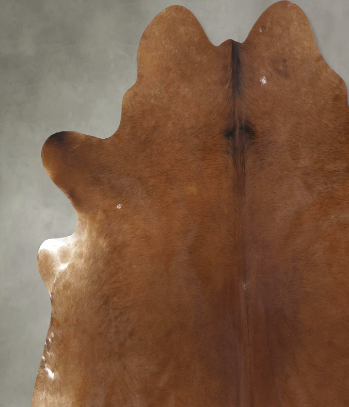 Solid Brown X-Large Brazilian Cowhide Rug 7'2"H x 6'10"W #B20436 by Hudson Hides