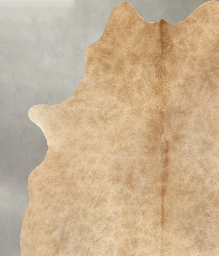 Beige X-Large Brazilian Cowhide Rug 7'5"H x 6'6"W #B20452 by Hudson Hides