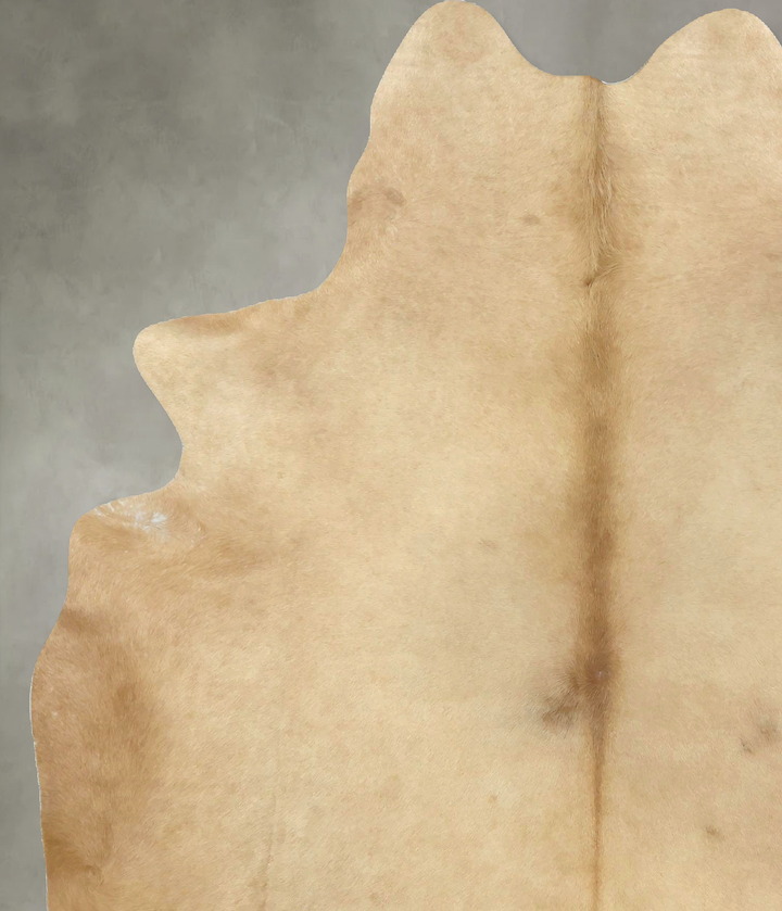 Beige X-Large Brazilian Cowhide Rug 7'7"H x 5'10"W #B20462 by Hudson Hides