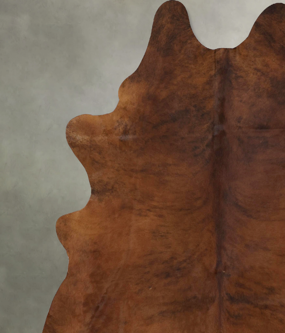 Medium Brindle XX-Large Brazilian Cowhide Rug 8'2"H x 6'10"W #B20468 b