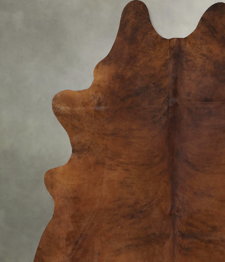 Medium Brindle XX-Large Brazilian Cowhide Rug 8'2"H x 6'10"W #B20468 by Hudson Hides