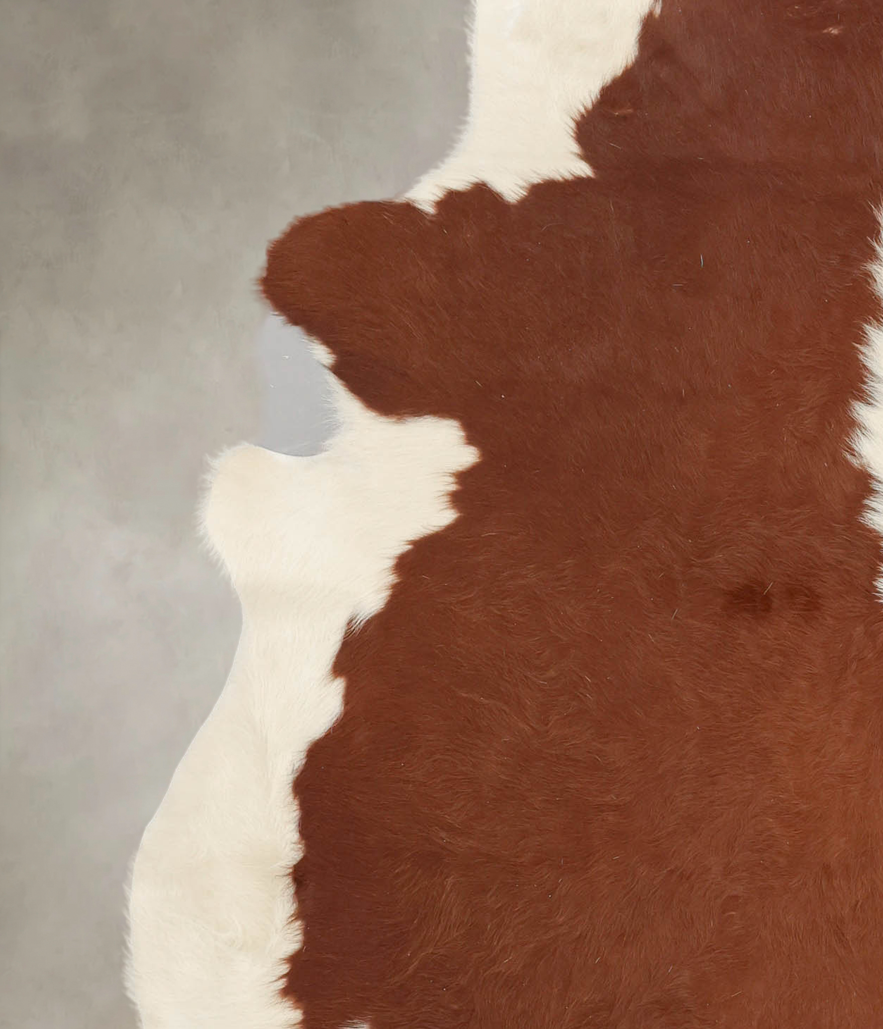 Hereford Cowhide Rug #B2047
