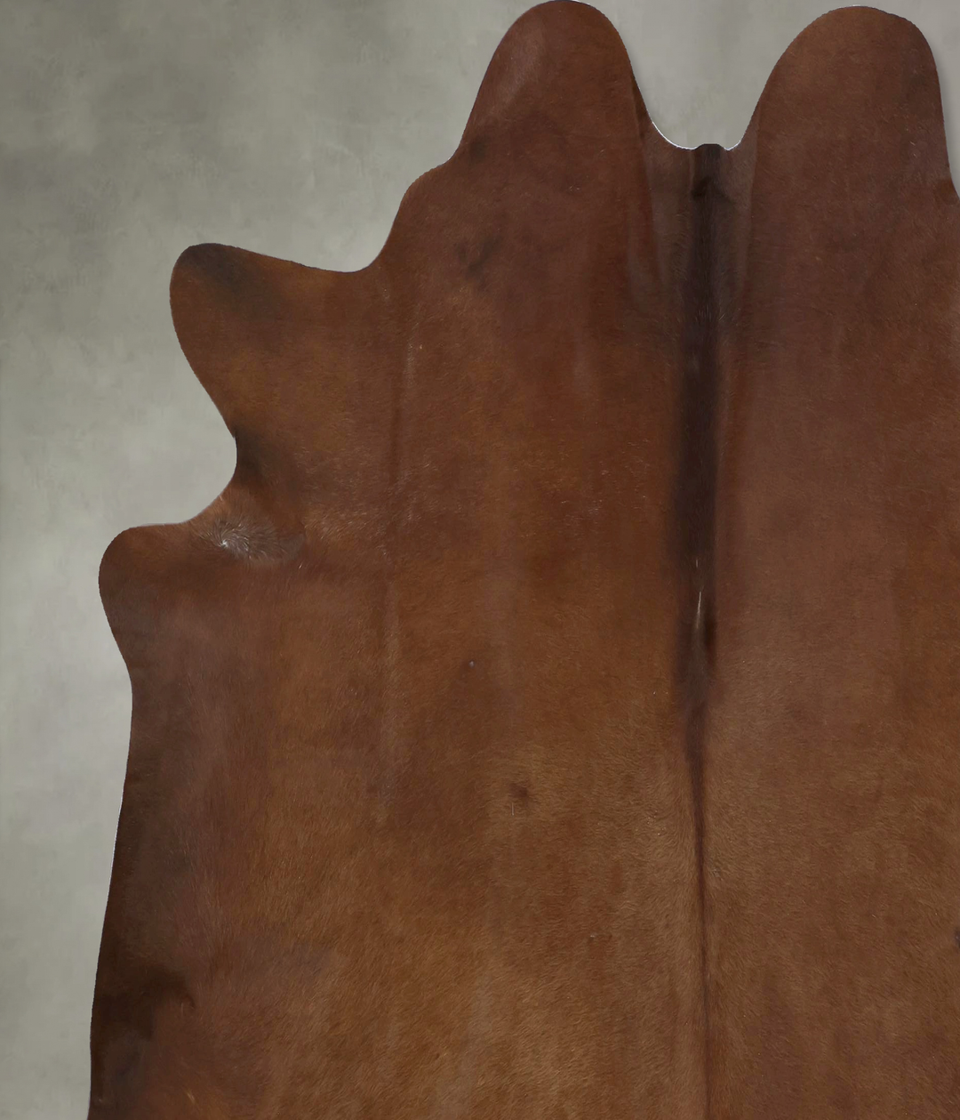 Solid Brown XX-Large Brazilian Cowhide Rug 7'5"H x 7'5"W #B20473 by Hu