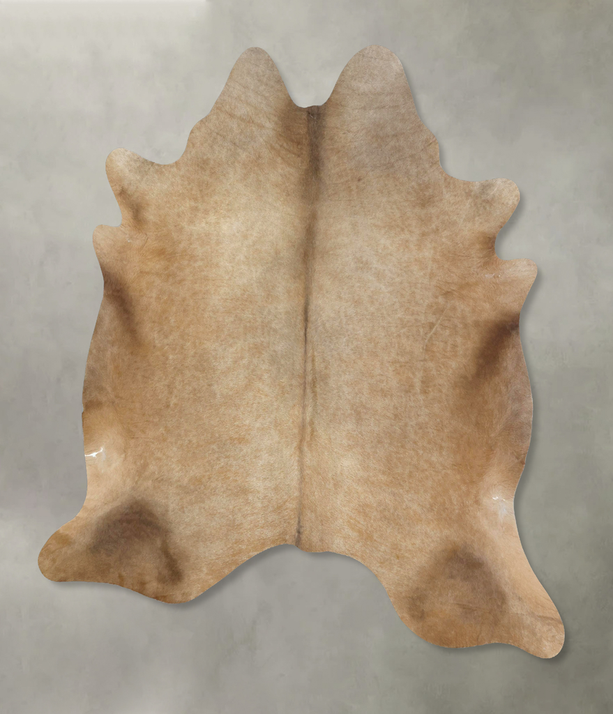 Champagne XX-Large Brazilian Cowhide Rug 7'4"H x 6'10"W #B20479 by Hudson Hides
