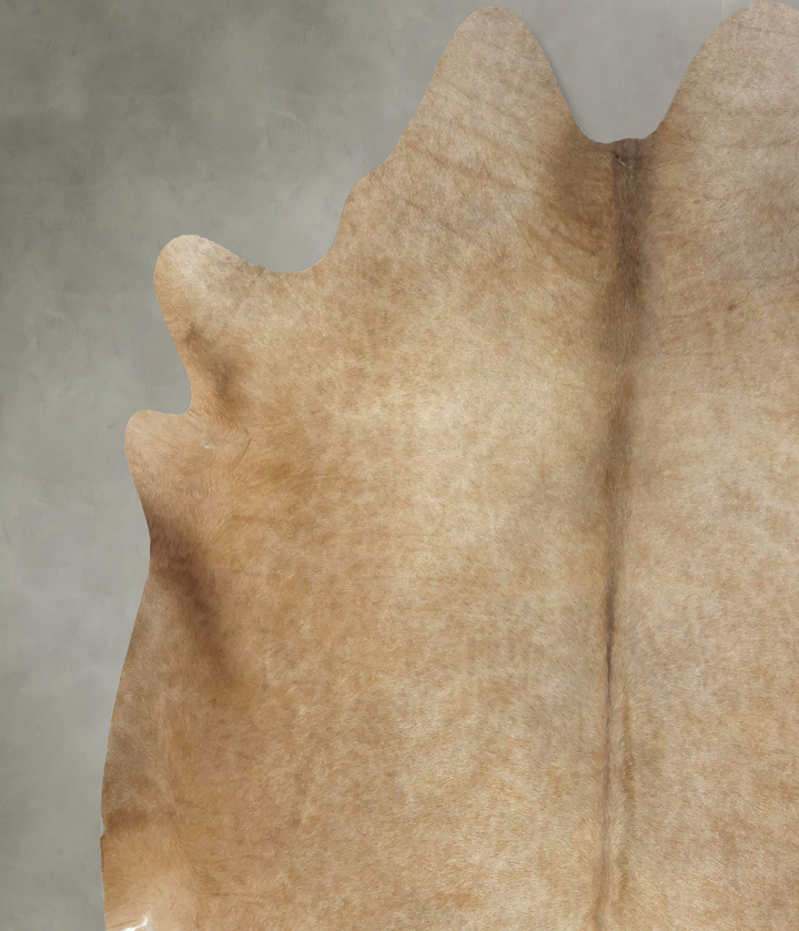 Champagne XX-Large Brazilian Cowhide Rug 7'4"H x 6'10"W #B20479 by Hudson Hides