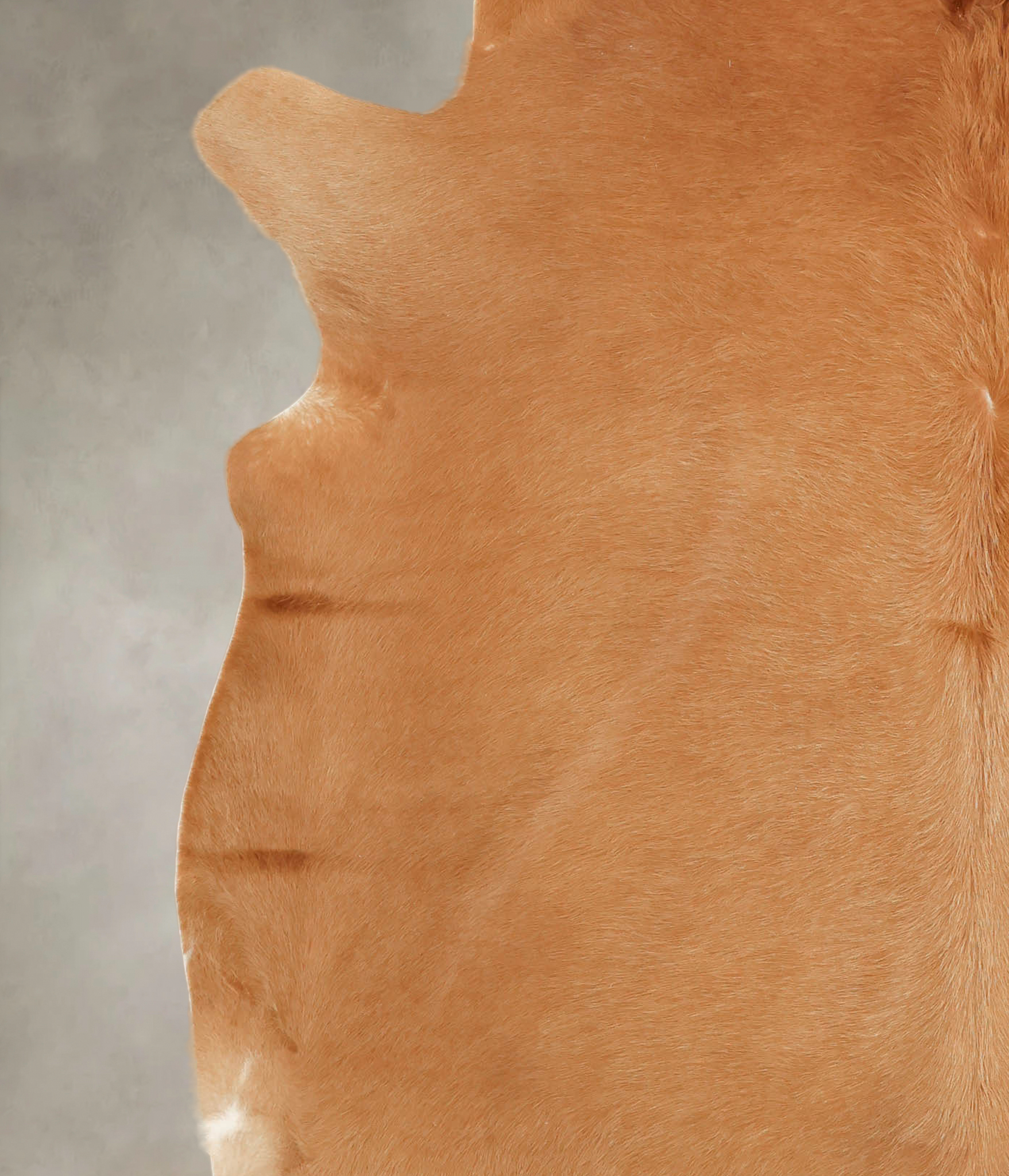 Solid Brown Cowhide Rug #B2048