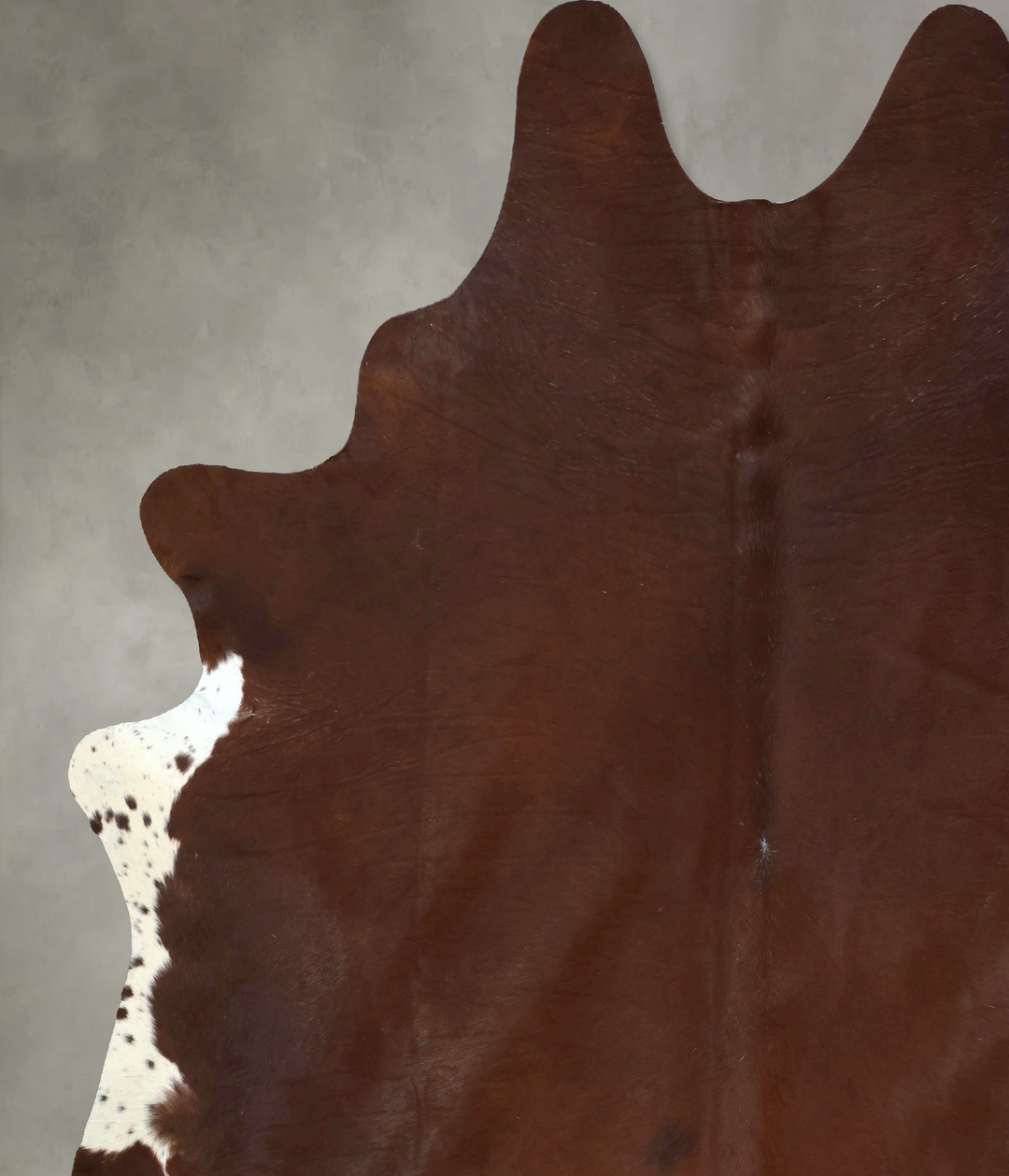 Solid Brown XX-Large Brazilian Cowhide Rug 8'10"H x 7'4"W #B20480 by H