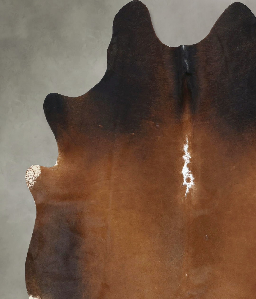 Warm Caramel X-Large Brazilian Cowhide Rug 7'1"H x 6'7"W #B20481 by Hu