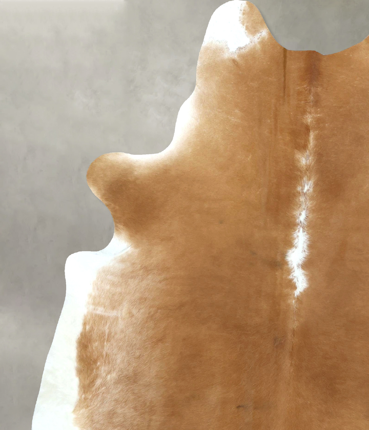 Beige and White XX-Large Brazilian Cowhide Rug 8'1"H x 6'3"W #B20487 by Hudson Hides
