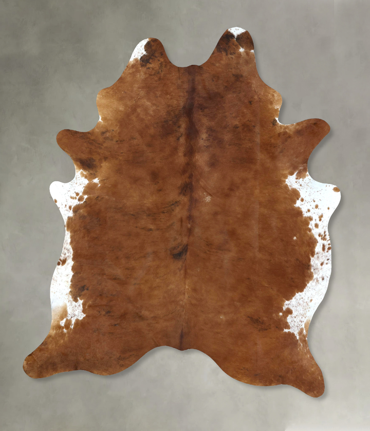Medium Brindle XX-Large Brazilian Cowhide Rug 8'6"H x 6'4"W #B20495 by Hudson Hides