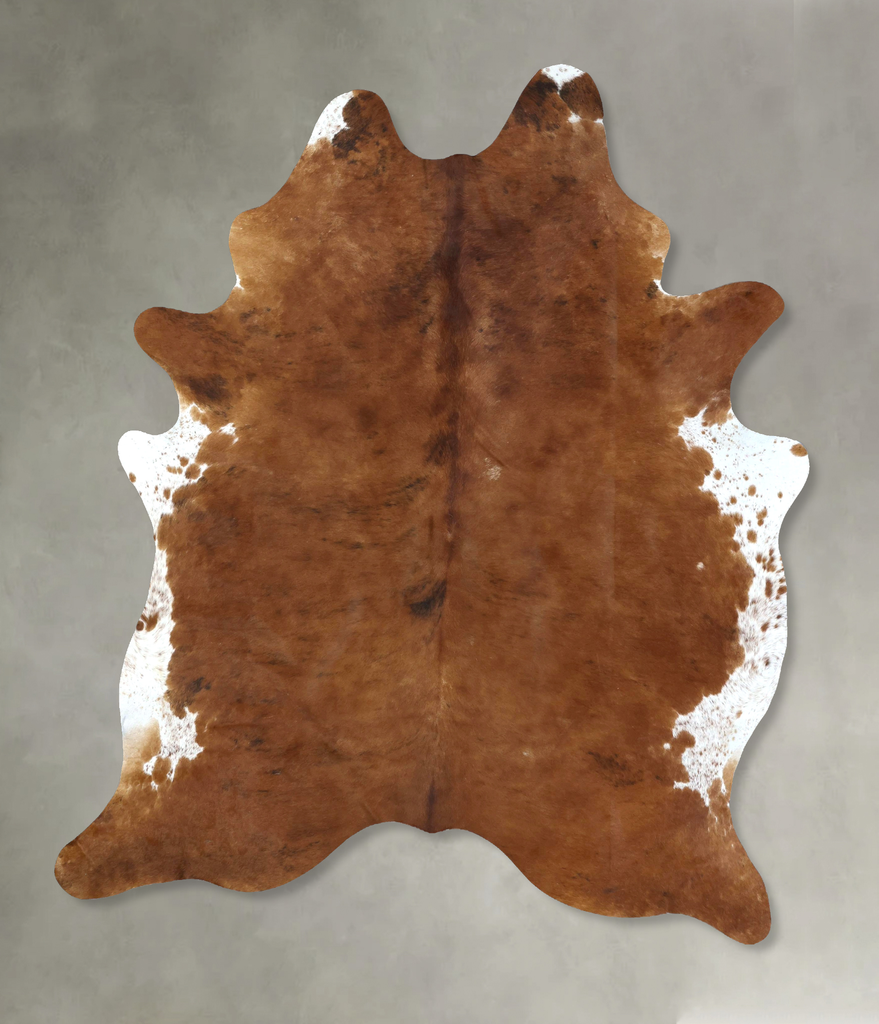 Medium Brindle XX-Large Brazilian Cowhide Rug 8'6"H x 6'4"W #B20495 by Hudson Hides