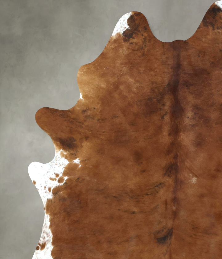 Medium Brindle XX-Large Brazilian Cowhide Rug 8'6"H x 6'4"W #B20495 by Hudson Hides