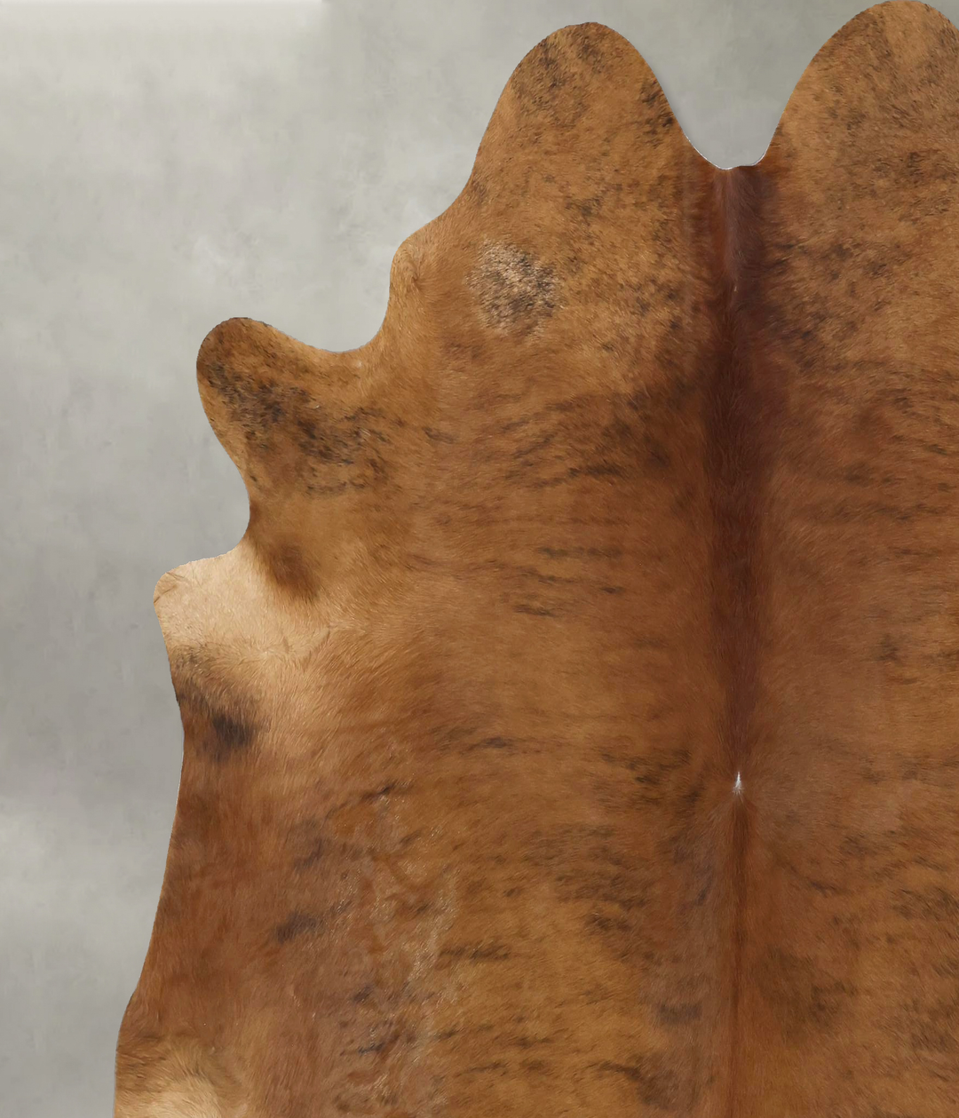 Medium Brindle XX-Large Brazilian Cowhide Rug 7'5"H x 6'11"W #B20499 b