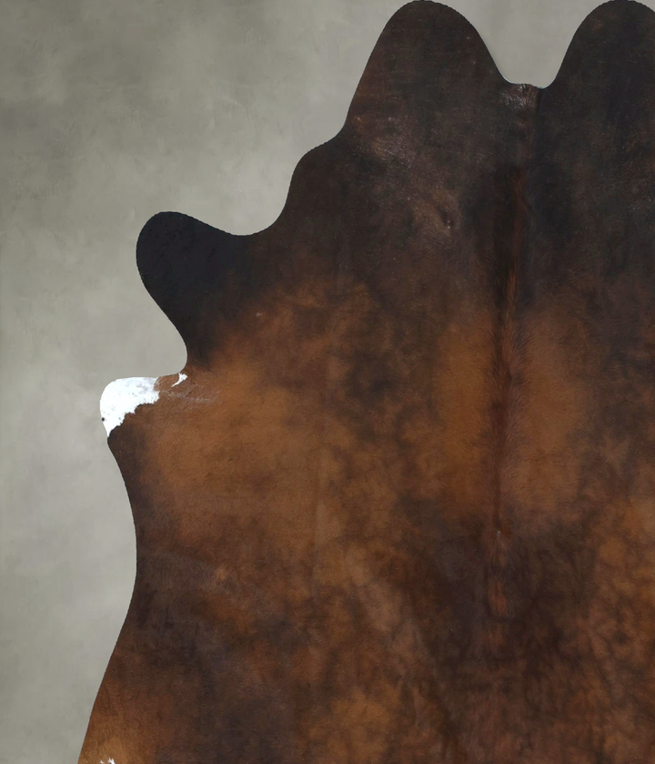 Chocolate XX-Large Brazilian Cowhide Rug 7'7"H x 6'7"W #B20501 by Hudson Hides