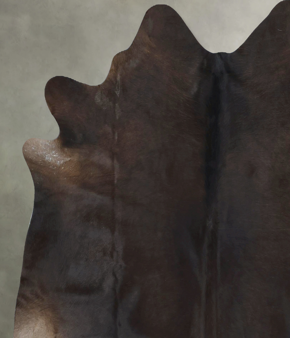 Chocolate X-Large Brazilian Cowhide Rug 7'3"H x 6'5"W #B20502 by Hudson Hides